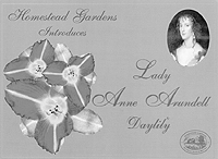 Lady Anne Arundell