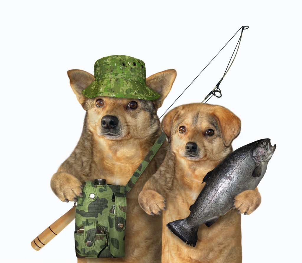 Fishing in the Dog Days of Summer - Bay Weekly