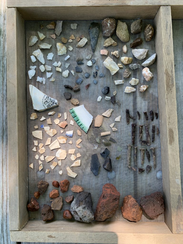 Archaeological Lab Processing From Excavation to Exhibit Bay Weekly