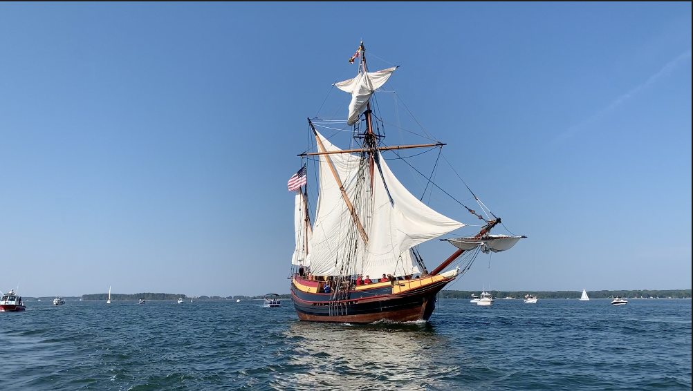 New Maryland Dove Sets Sail Bay Weekly